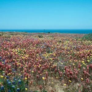 Vandenberg AFB