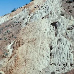 Ballinger Canyon--fossil search