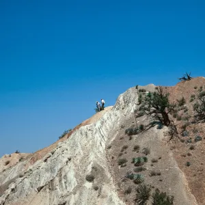 Ballinger Canyon, fossil search