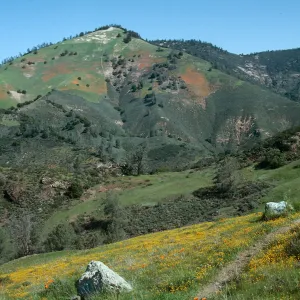 Figueroa Mountain