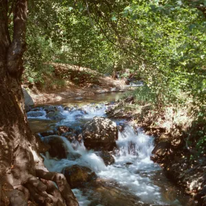 Figueroa Mountain