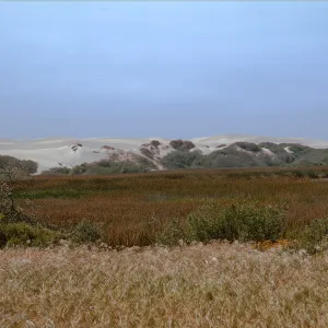 Dune Lakes