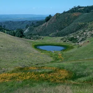 Sedgwick Ranch, Figueroa