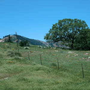 Sedgwick Ranch, Figueroa