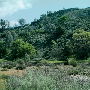Sedgwick Ranch, Figueroa
