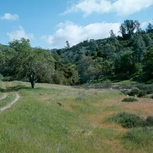 Sedgwick Ranch, Figueroa