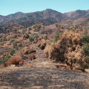 San Luis Obispo