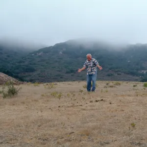Gaviota Tar Weed, Paul Huebner, Hollister Ranch