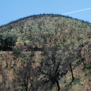 Castle Crags, San Luis Obispo Co