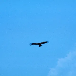 Castle Crags, American Canyon, San Luis Obispo County