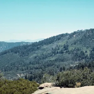 Big Pine, Los Padres National Forest, Santa Barbara County