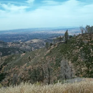 Looking west, Cat-Way, Figueroa Mountain
