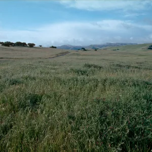 Sainz Ranch entrance