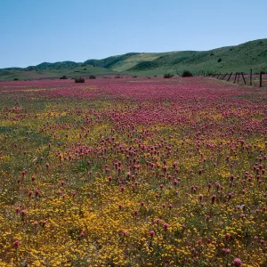 Highway 166 & 33