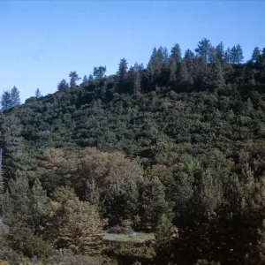 Little Pine Mountain