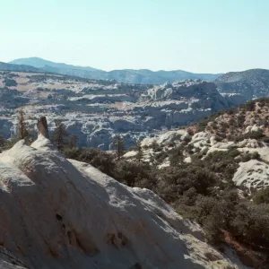 Lion Canyon
