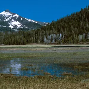 Luther Pass, Grass Lake