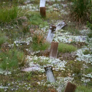Carnegie, Alpine site, Hall Nat. area