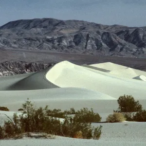 sand dunes, Death Valley NP