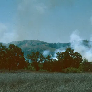 fire, Ft. Hunter Liggett, Jolon Valley