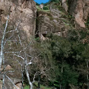 site of Portola Trail, September 18-21, 1769, Palisades, Nacmiento River, Hunter-Liggett, April,1996