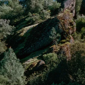 Palisades, Hunter-Liggett, April, 1996