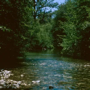 Nacimiento River near San Miguel Creek, Ft. Hunter-Liggett