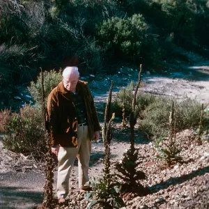 herbarium trip, Waldo Abbott, railroad west, El Capitan
