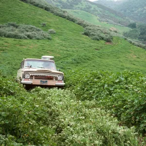 upper La Brea Canyon