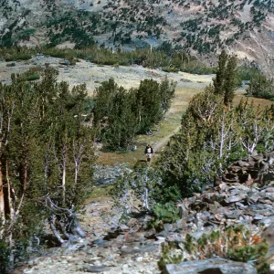 Neil on trail below Summit Pass, 8/29/1966