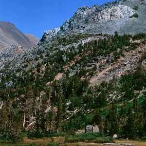 slope above Hoover Lake