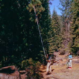 Sequoia National Park