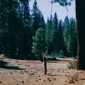 Sequoia National Park
