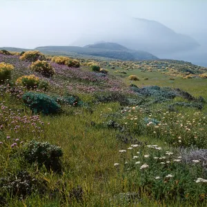 Anacapa Island