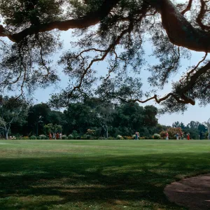 Dickinson - Hope Ranch, 