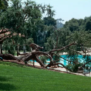 â€œLas Terrasasâ€, Chase - Hope Ranch