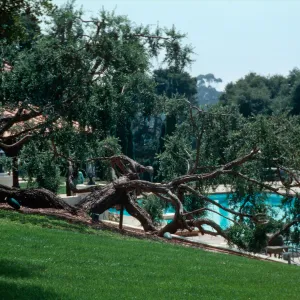 â€œLas Terrasasâ€, Chase - Hope Ranch