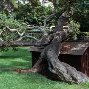 â€œLas Terrasasâ€, Chase - Hope Ranch