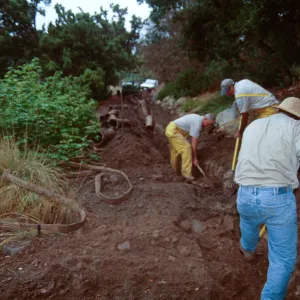 broken pipe, meadow SBBG