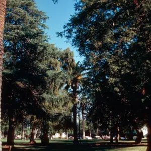 Alameda Plaza
