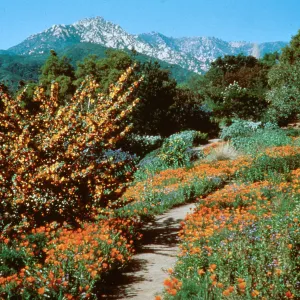 Porter Trail