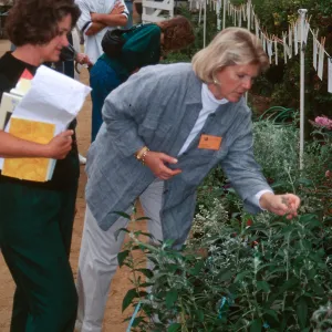 fall plant sale, SBBG