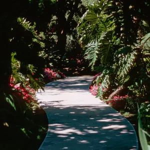 Self-Realization Gardens, Encinitas