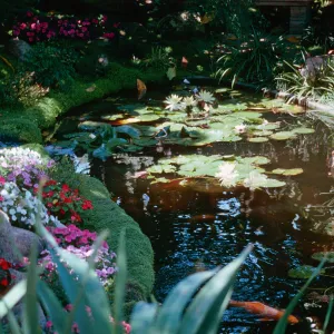 Self-Realization Gardens, Encinitas