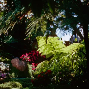 Self-Realization Gardens, Encinitas