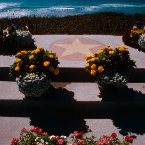 Self-Realization Garden