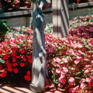 Sherman Library & Gardens