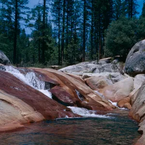 West fork, Chiquito Creek