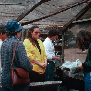 Growers, Theodore Payne, 1990