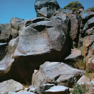 Field Trip, Big & Little Petroglyph Canyons